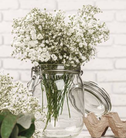 Baby's-breath flowers branches in white room close up